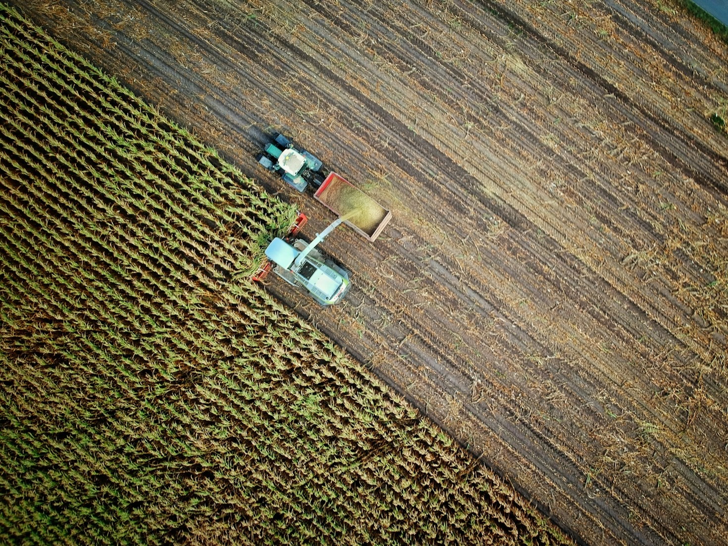As Megatendências no Agronegócio Brasileiro