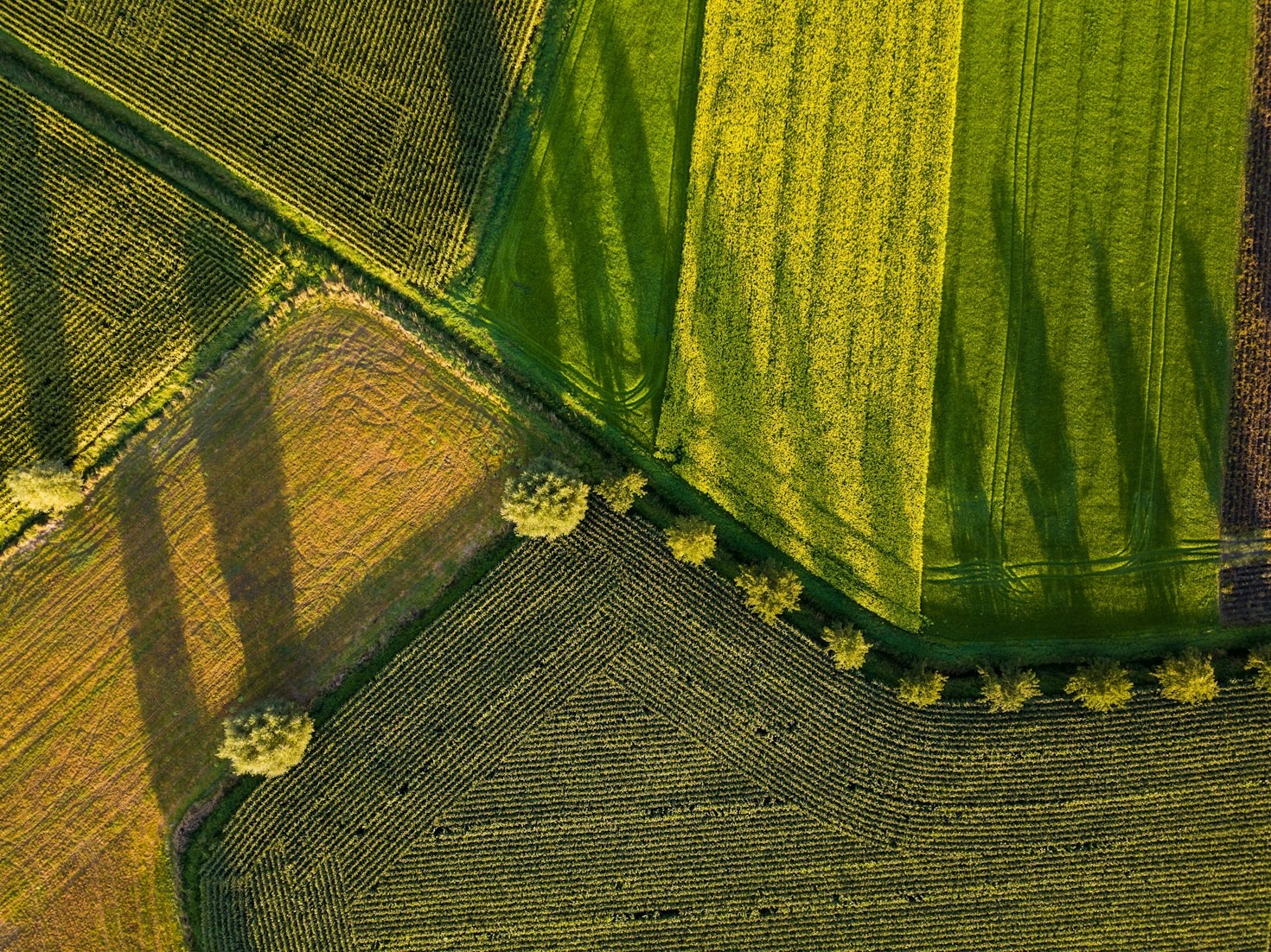 Impactos do Clima na Produção Agrícola
